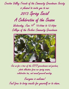 2013 Spring Social Invitation